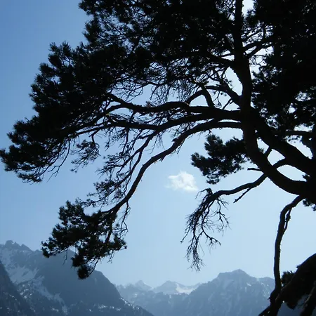 Bel Arrayo - D'accueil De Montagne - D'hotes كوتيريه